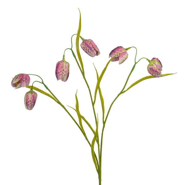 Frittilaria-Zweig, 60 cm pink