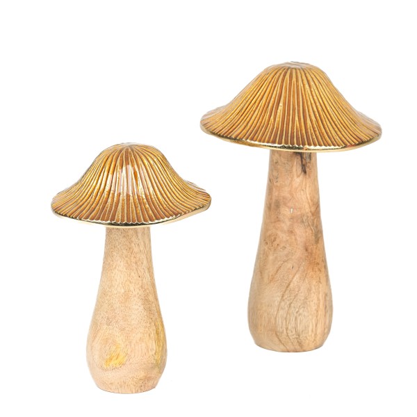 Pilz