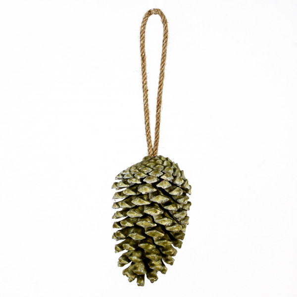 Pinus Maritima gewachst z.Häng en 15cm grün Blt.3 Stück Zapfen