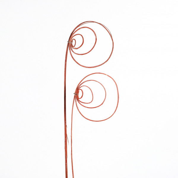 Rohrkreisel Cane coil ( Fensterkarton x 40 St.) orange white washed