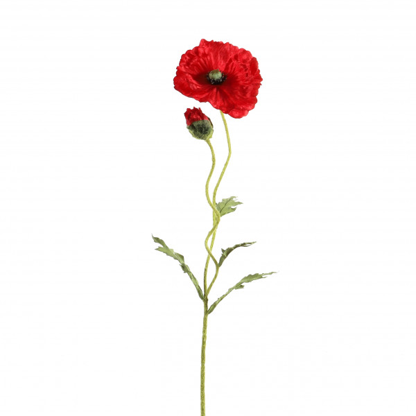 Klatschmohn x 2, 82 cm, rot