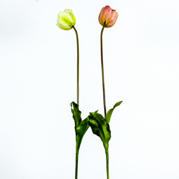 Tulpe Mary , 85 cm, Latex