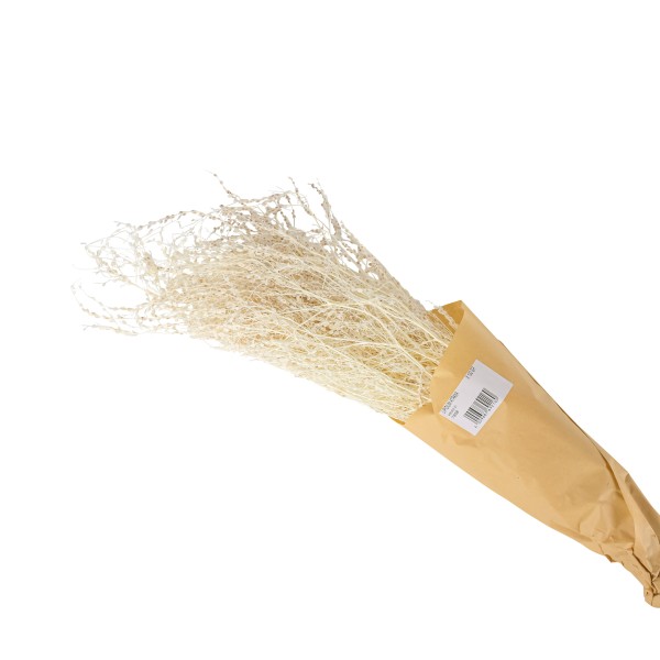 Lipidium weiß Btl. x 150 gramm
