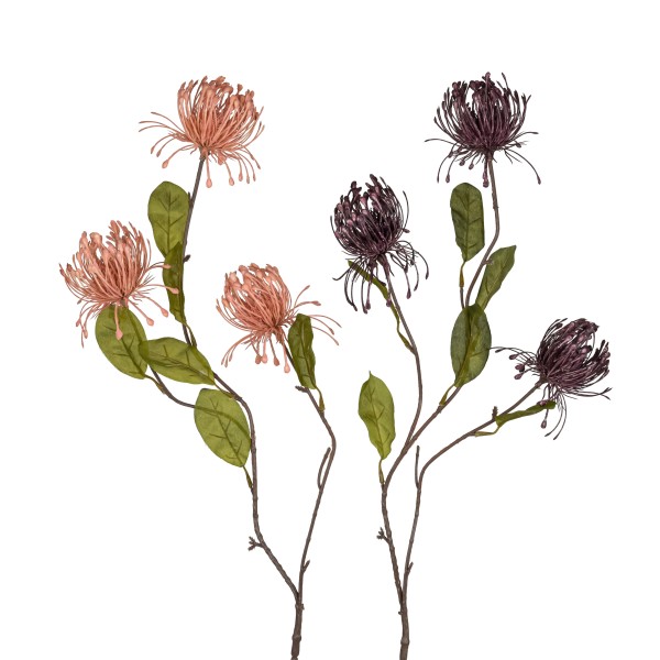 Distel-Zweig, 76 cm