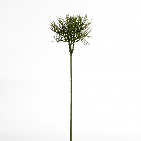 Pappelzweig, 80 cm, grün