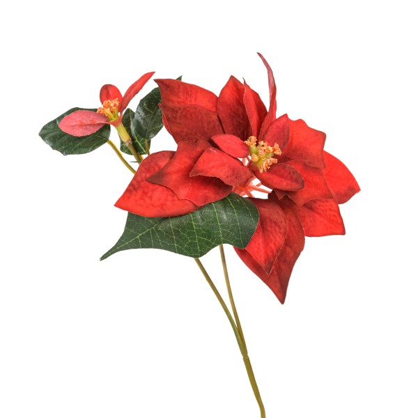 Poinsettia-Pick x 2 Blüten, H:25 cm rot