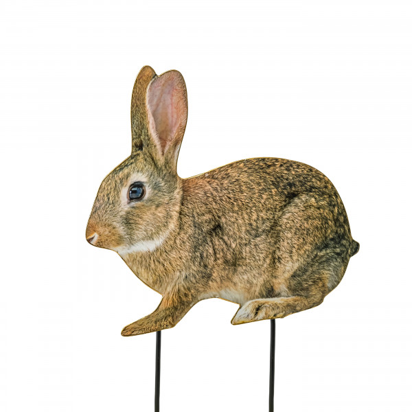 Metall Hase Daisy zum stecken, m Foto- druck, 30x3x41,5cm