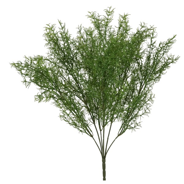 Asparagusbusch Liora , L:48cm, grün