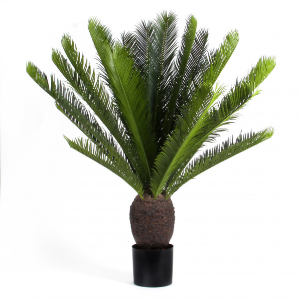 Cycas-Palme x 23, 100 cm, grün