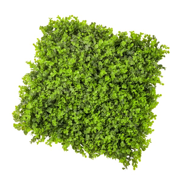 Buchsmatte, grün, 50x50cm Wand-Deko