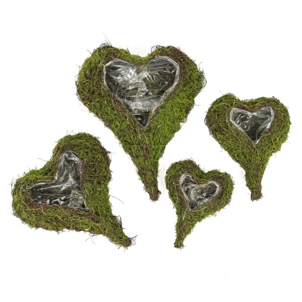 Salim/Moss Pflanzherz, natur