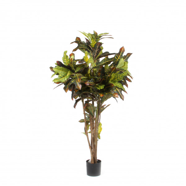 Croton, 90cm, 209 Blatt, rot/gelb/grün