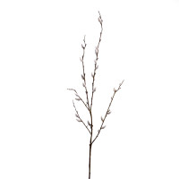 Weidenkätzchen-Zweig, 100 cm natur Weidenkätzchen-Zweig, 100 cm natur
