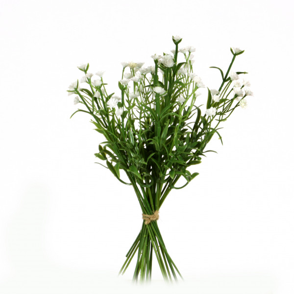 Gypsophilia-Bund x 5, 25 cm,we iß