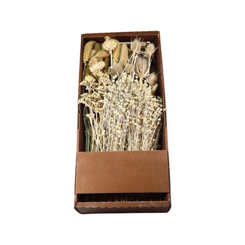 Trockenblumen Sortiment 500 Gr. Mixed Dried Flowers weiß gefrosted