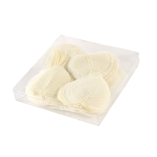 SKELETON BAYAN X200 STÜCK