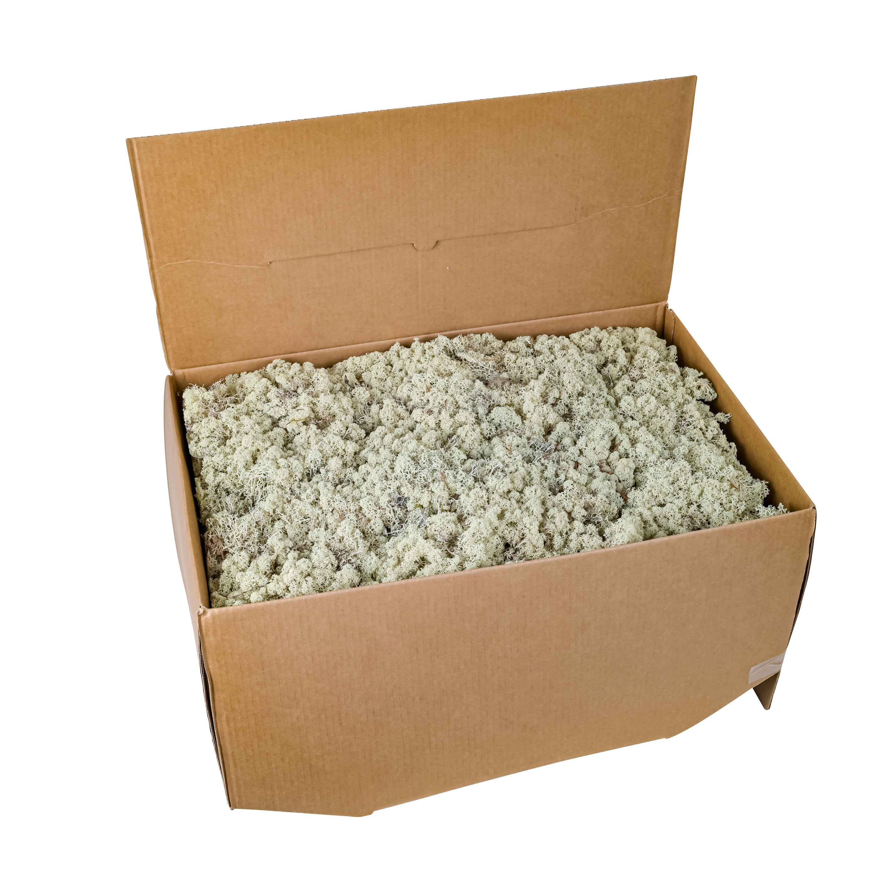 Trockenmoos Schweden EXTRA EUROKARTON | Naturmaterial, Sisal,Bast, Moos | Naturprodukte | Floristik & Deko | Scheulen