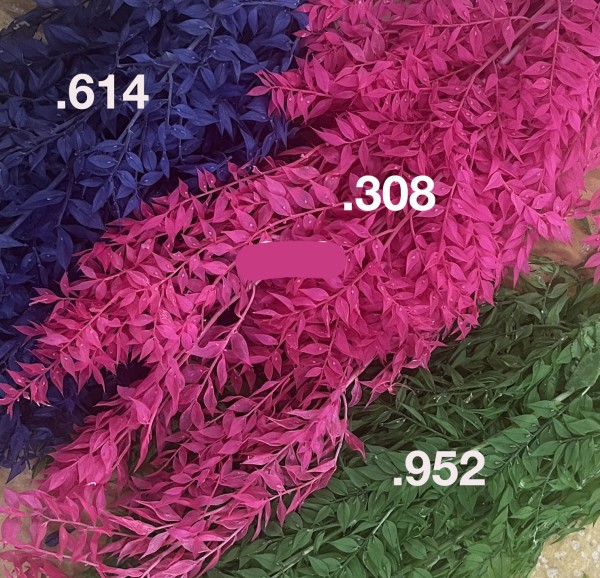 Ruscus Beutel 500 gr