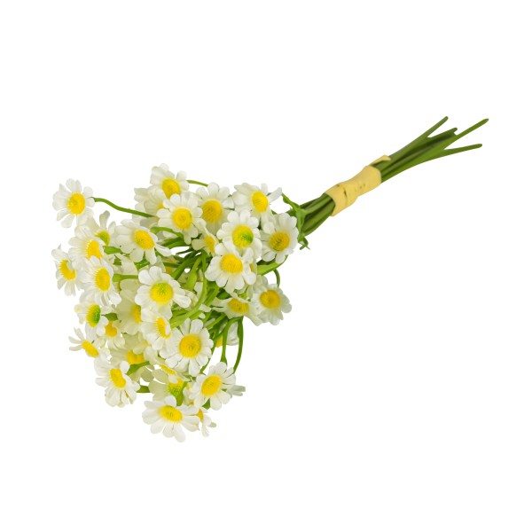 Gänseblümchen, 27 cm, creme