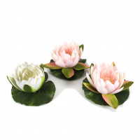 Seerose mit Blatt, schwimmend, 16 cm Seerose mit Blatt, schwimmend, 16 cm