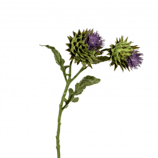 Artischocke x 2, blühend,56 cm