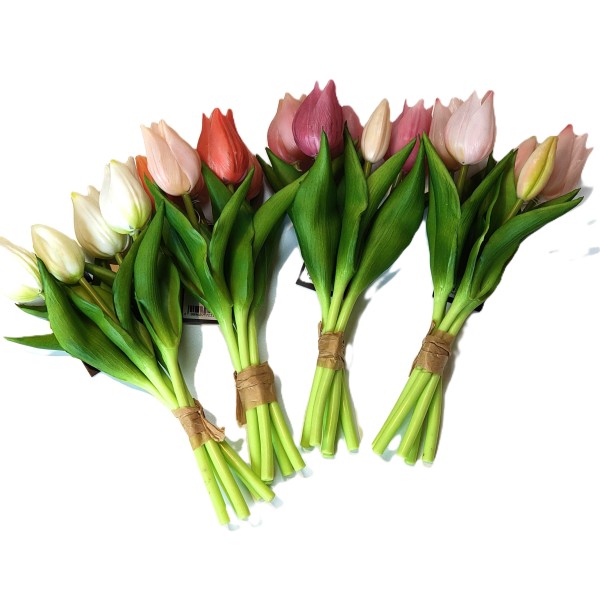 Tulpe Sneek ,25cm, Bund/5 St.