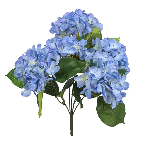 Hortensienbusch x 5, 45cm, blau