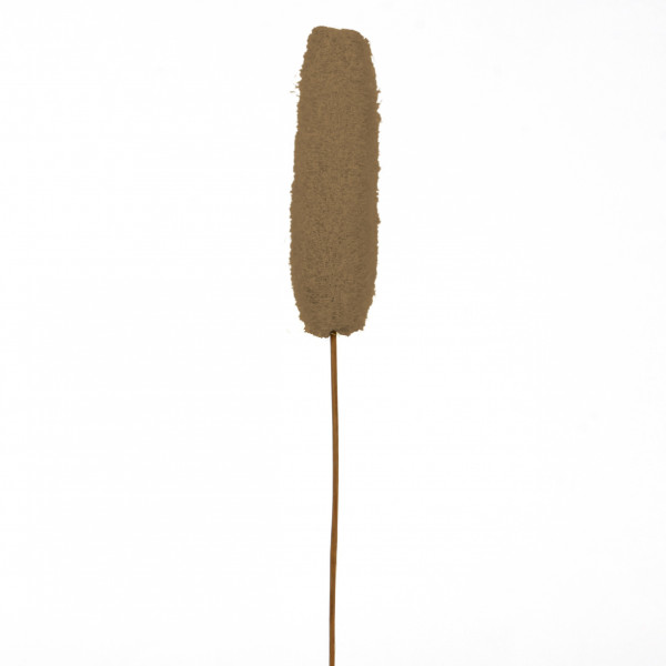 Luffa Gigante 20 cm am Stiel Polybeutel x 25 Stück