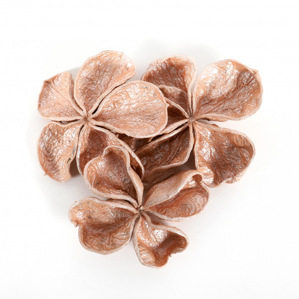 Landlotus Flower rose gold (Po lybeutel x 15 Stück)