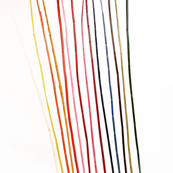 WILDCANNA M. BASTSCHLEIFE