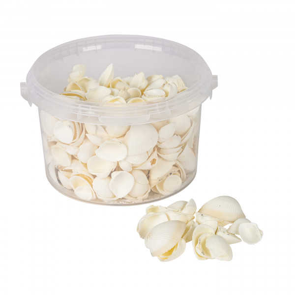 Muscheln Eimer 3,5 ltr.weiß