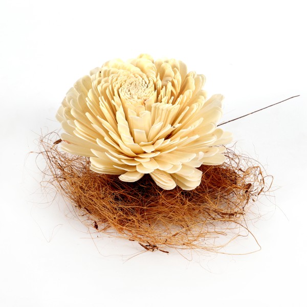 Sola Bella 15cm (Fensterkarton x 4 Stück) gebleicht