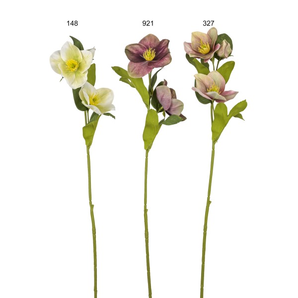 Christrosenzweig, 53cm