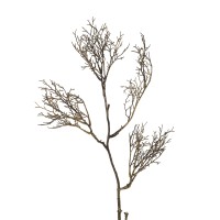 Deko-Ast, braun-natur, 80 cm Deko-Ast, braun-natur, 80 cm