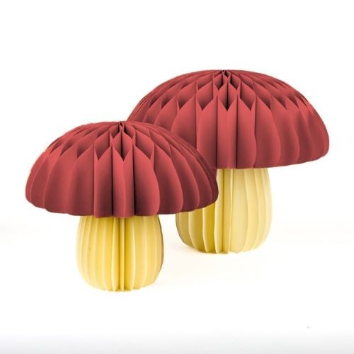 Papier-Pilz