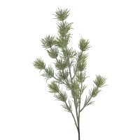 Tannenzweig Uden , 77cm, weiß- gewischt Tannenzweig Uden , 77cm, weiß- gewischt