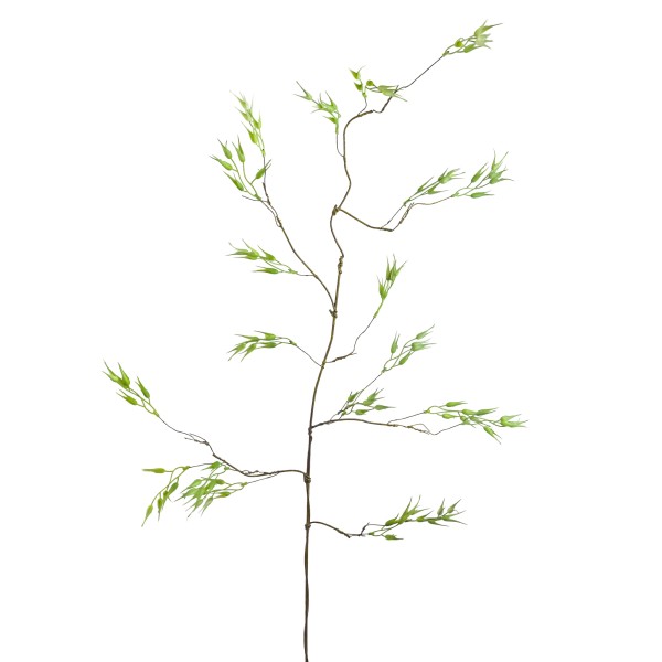Hafer-Ast, grün, 116 cm