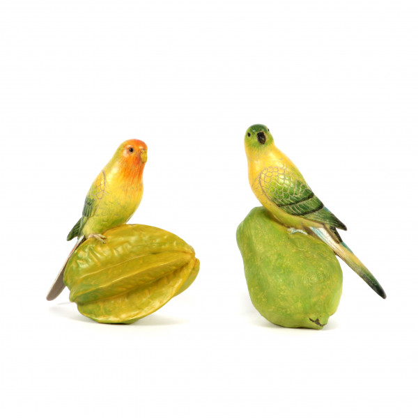 Paradies-Vogel bunt a.Frucht 2 Mod.sort. 16cm