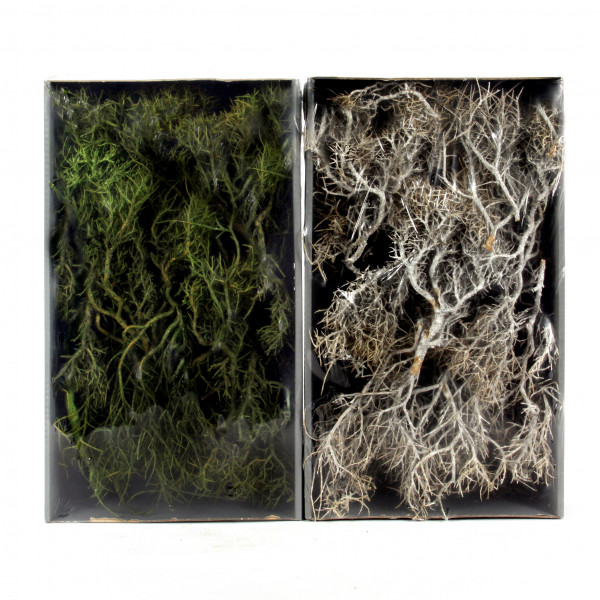 Iron Bush Tray x 750 gr. weiss-frost