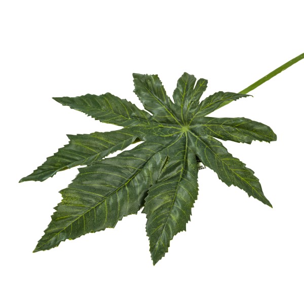 Aralien-Blatt, grün 23x27cm