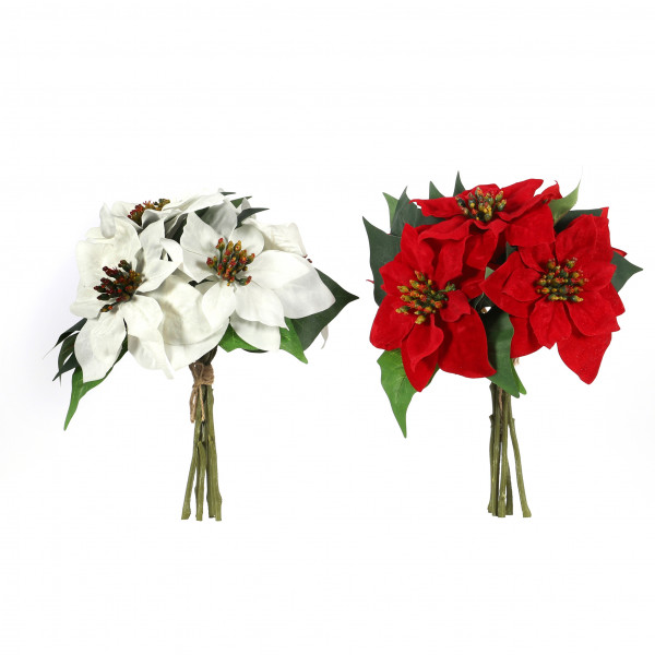 Poinsettia 26 cm, Bund x 5