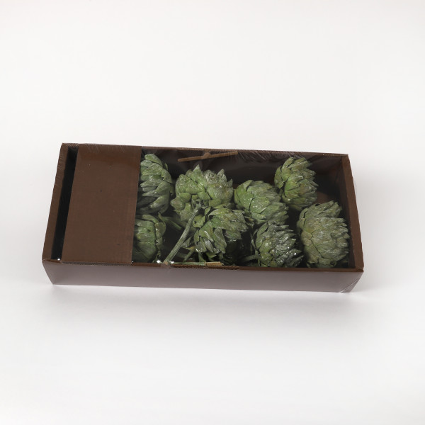 Artischoke grün washed Tray x10 Stück