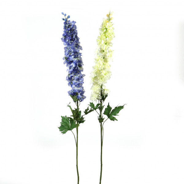 Delphinium Charly , 114 cm